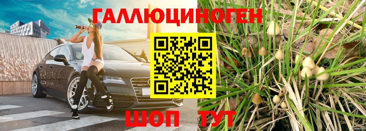 Галлюциногенные грибы мухоморы  Псилоцибиновые грибы мухоморы  купить   Можга  Вход с VPN 